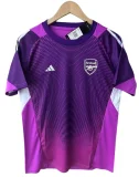 2025-26 Mens Arsenal Purple Goalkeeper Soccer jersey