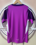2025-26 Mens Arsenal Purple Goalkeeper Soccer jersey