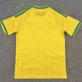 2026-27 Mens South Africa Home Fans Soccer Jersey
