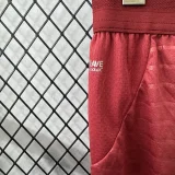 2025-26 Mens Portugal home red player  Shorts Pants