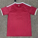 2025-26 Mens Bayern Munich Special Edition red soccer Jersey