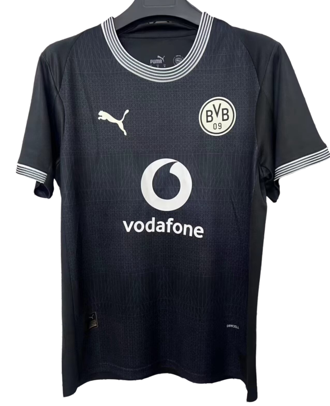 2025-26 Mens Borussia Dortmund Rote Erde 100th Anniversary Fans soccer jersey