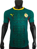 2026-27 Senegal away Player Version Soccer Jersey(Two star两星)