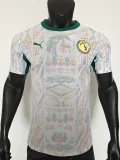 2026-27 Senegal Home Player Version Soccer Jersey(Two star两星)
