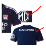 2026-27 Lyon Red Fans Soccer Jersey