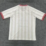 2026 Chivas Guadalajara Limited Edition Fans Soccer Jersey
