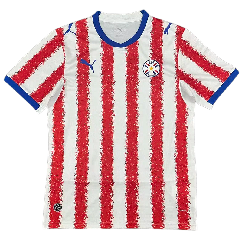 2026-27 Mens Paraguay home Fans Soccer Jersey