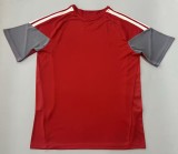 2026-27 Mens Internacional Special Edition red soccer Jersey