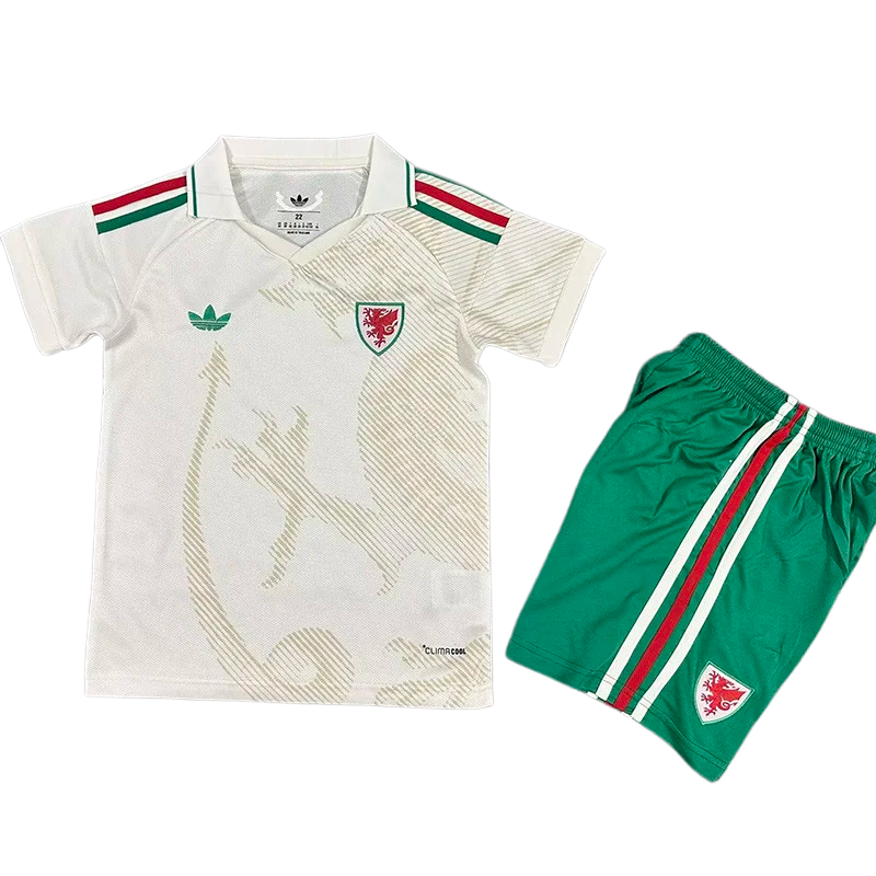 2026-27 Kids Wales away Soccer Jersey
