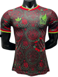 2026-27 Mexico Brown Special Edition Player Version soccer jersey