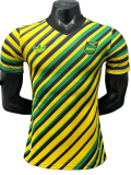 2024 JAMAICA Special Edition Player Version Soccer Jersey