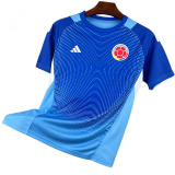 2026-27 Colombia Blue Goalkeeper Fans Soccer Jersey