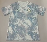 2026-27 Mens Palmeiras pre-match  Soccer Jersey