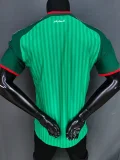 2026-27 Algeria Away Player Version Soccer Jersey