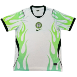 2026-27 Mens Nigeria Away Fans Soccer Jersey