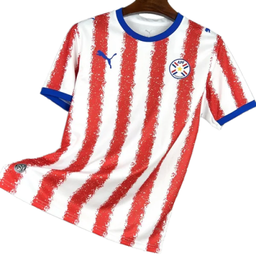 2026-27 Mens Paraguay home Fans Soccer Jersey