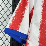 2026-27 Mens Paraguay home Fans Soccer Jersey