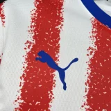 2026-27 Mens Paraguay home Fans Soccer Jersey