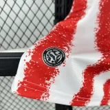 2026-27 Mens Paraguay home Fans Soccer Jersey