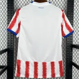 2026-27 Mens Paraguay home Fans Soccer Jersey