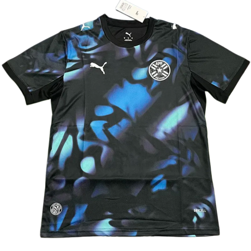 2026-27 Mens Paraguay Away blue Fans Soccer Jersey