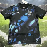 2026-27 Mens Paraguay Away blue Fans Soccer Jersey