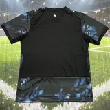 2026-27 Mens Paraguay Away blue Fans Soccer Jersey