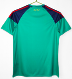 2010 Mens Retro Spain goalkeeper soccer Jersey