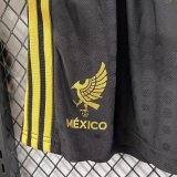 2025-26 Mexico Player Special Edition Shorts Pants