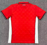 2026-27 Mens Panama Home Fans Soccer Jersey