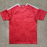 2026-27 Benfica Home Leaked Edition Fans Soccer Jersey