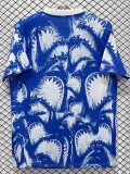 2026-27 Cape Verde Blue Pre-Match Training shirts