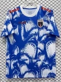 2026-27 Cape Verde Blue Pre-Match Training shirts
