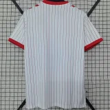 2026-27 Mens Denmark away Fans Soccer Jersey