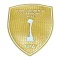 Intercontinental Champions 2024