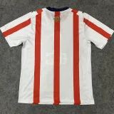 2026 Chivas Guadalajara 120th Anniversary Fans Soccer Jersey