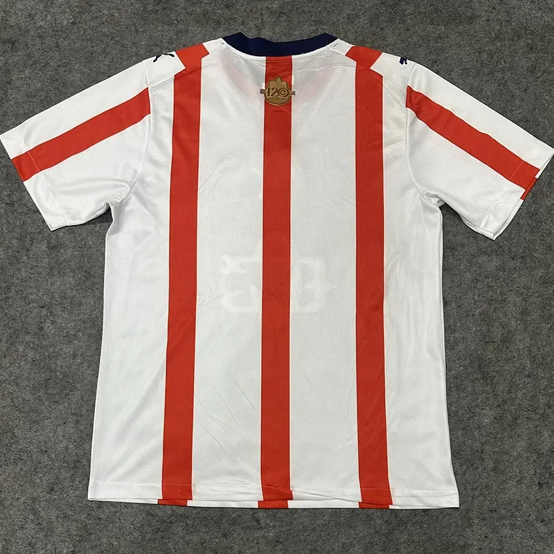 2026 Chivas Guadalajara 120th Anniversary Fans Soccer Jersey