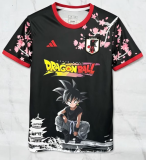 2025-26 Japan Special Edition Fans Soccer Jersey