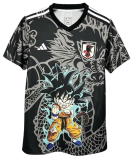 2025-26 Japan Special Edition Fans Soccer Jersey