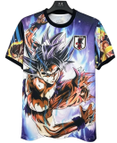 2025-26 Japan Special Edition Fans Soccer Jersey