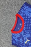 2025-26 Mens RB Leipzig blue vest short training suit