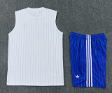 2025-26 Mens Chelsea white vest Short Training Suit