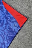 2025-26 Mens RB Leipzig blue vest short training suit