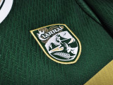 2025-26 Mens Ireland green special edition  Soccer Jersey