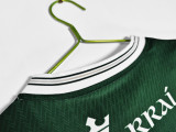2025-26 Mens Ireland green special edition  Soccer Jersey