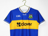 2025-26 Mens Ireland blue special edition  Soccer Jersey