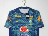 2024 Mens Brazil Camouflage training uniform soccer jersey