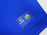 2025-26 Mens Ireland blue special edition  Soccer Jersey
