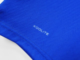2025-26 Mens Ireland blue special edition  Soccer Jersey