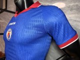 2026-27 Haiti home Player  Version Soccer Jersey